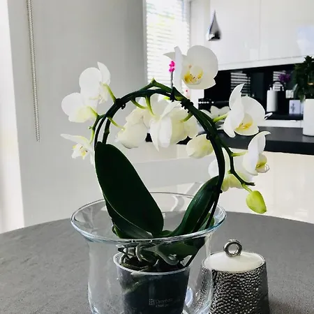 Διαμέρισμα Trzy Kolory Kołobrzeg