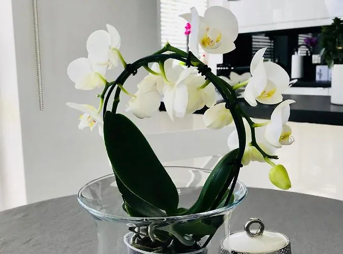 Apartamento Trzy Kolory Kołobrzeg